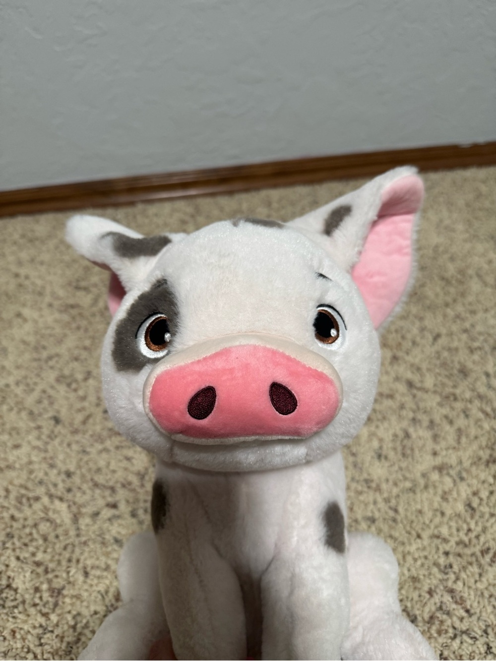Disney Store Moana Pua the Pig 13" Plush Stuffed Animal